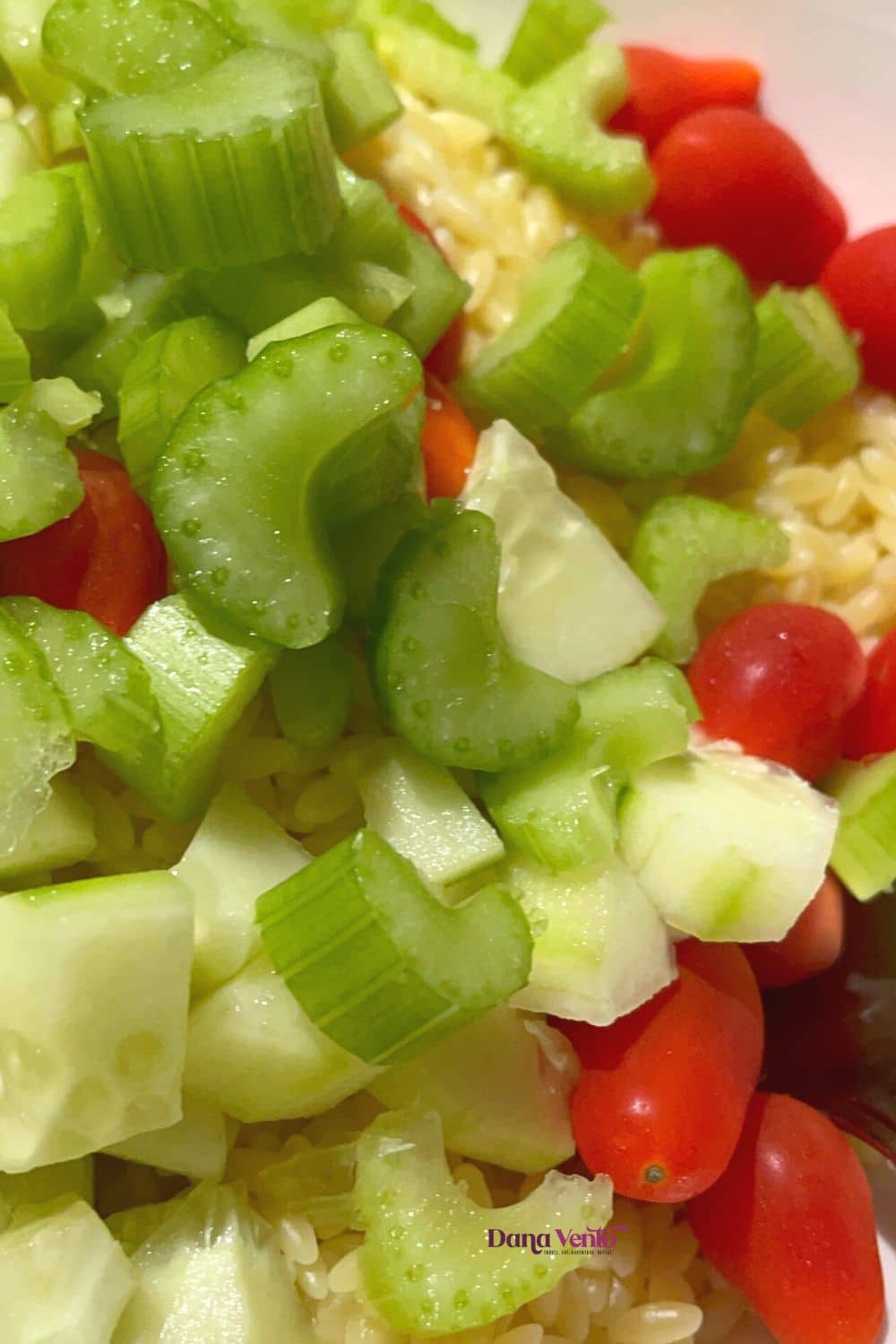 cucumber chunks and celery with tomato in the orzo salad