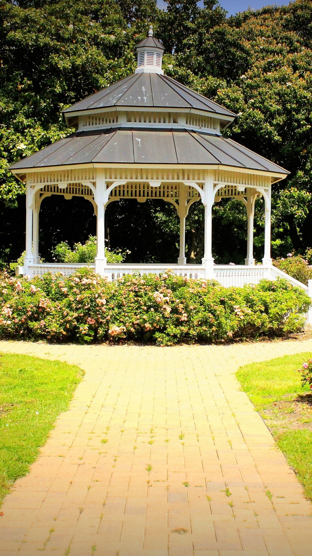 gazebo