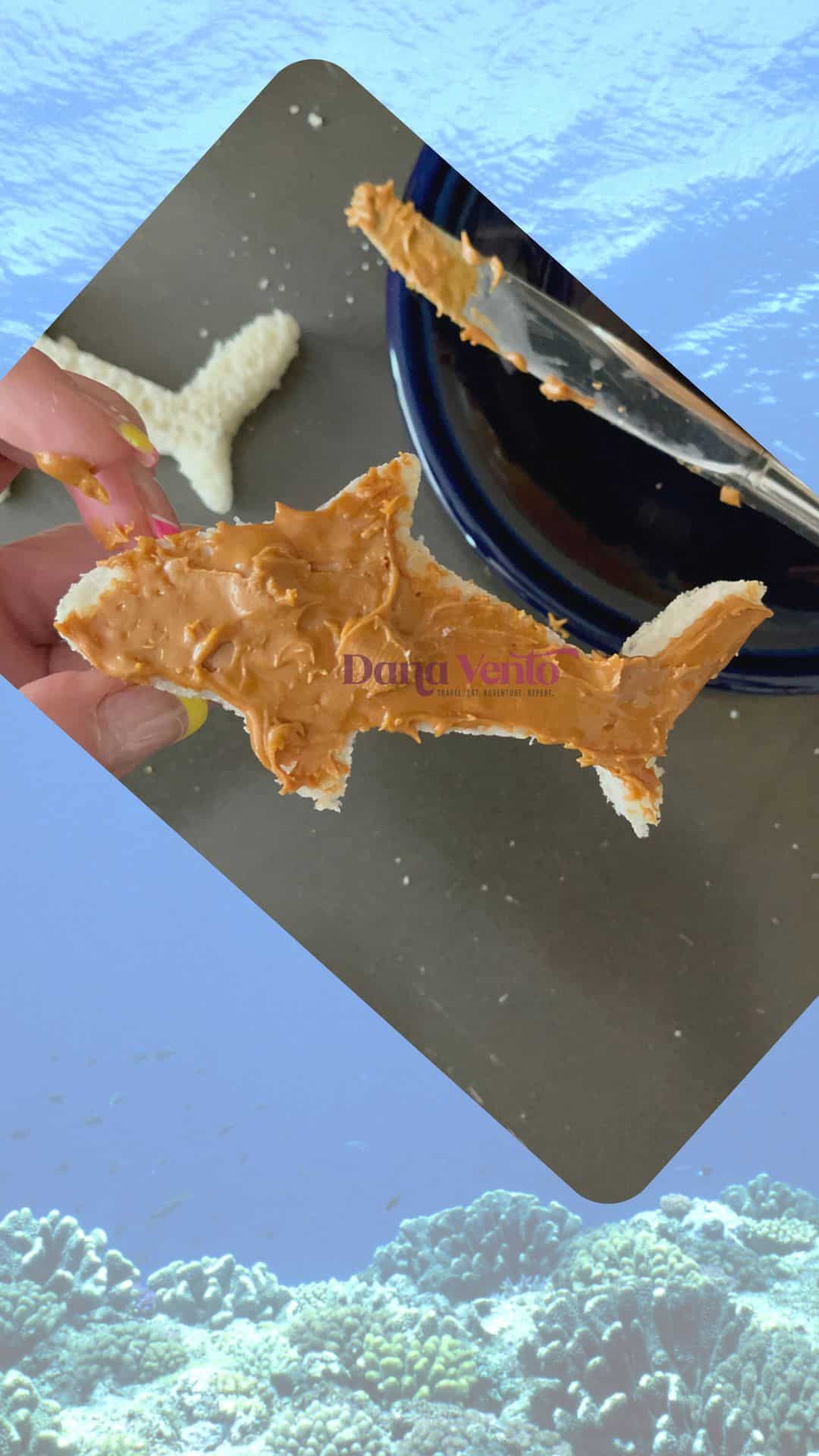 peanut butter jelly shark bite oozing sandwiches 7
