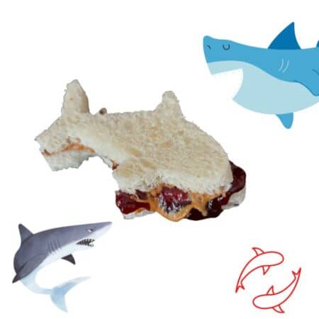 shark bite oozing belly sandwiches 2 1 1