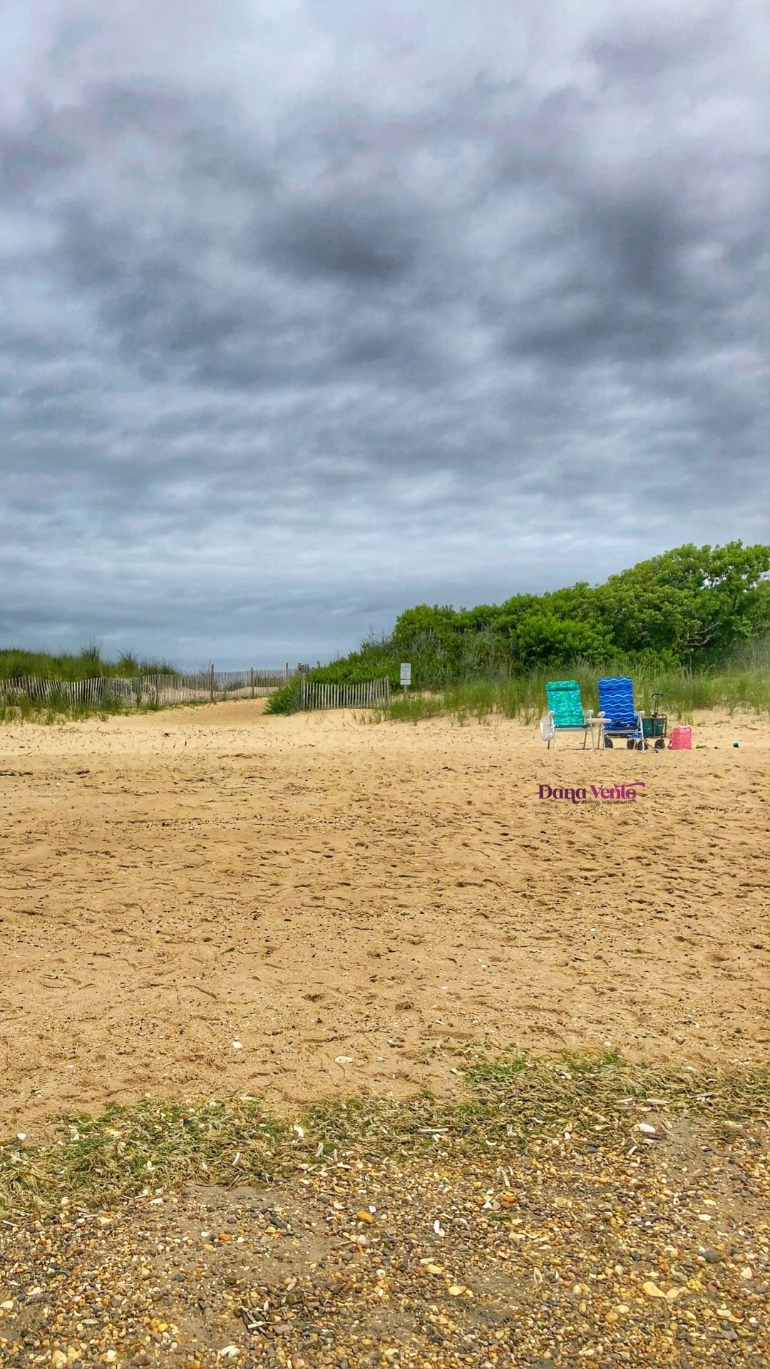Ultimate Guide to Cape Henlopen State Park 2 1