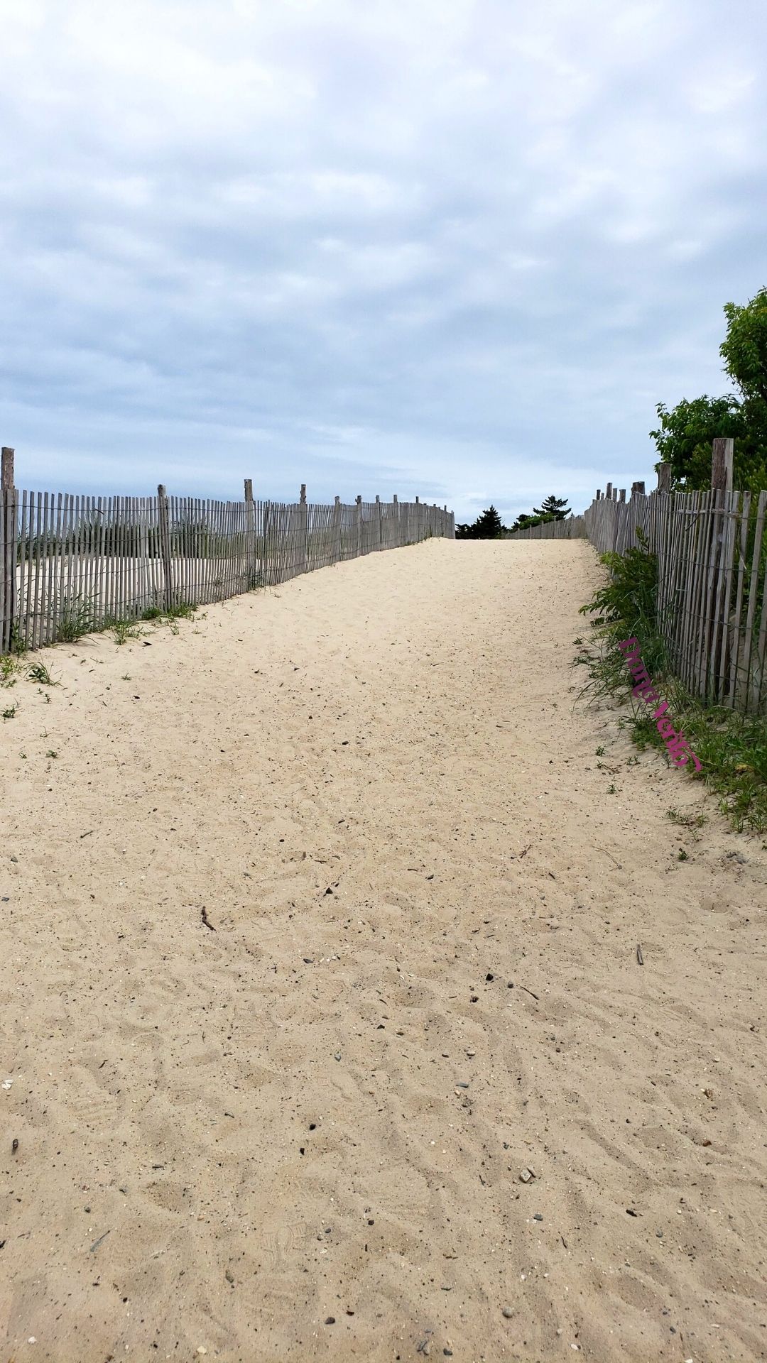 Ultimate Guide to Cape Henlopen State Park 3