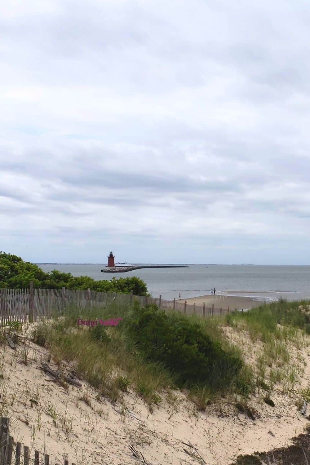 Ultimate Guide to Cape Henlopen State Park 7