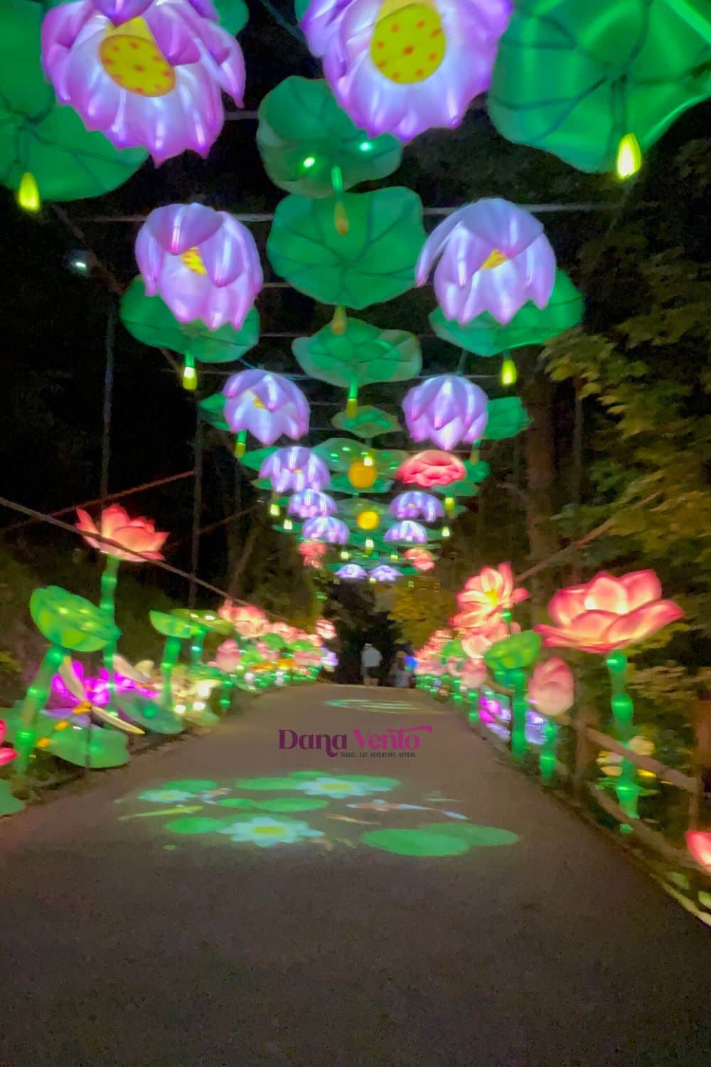 Asian Lantern Festival 6