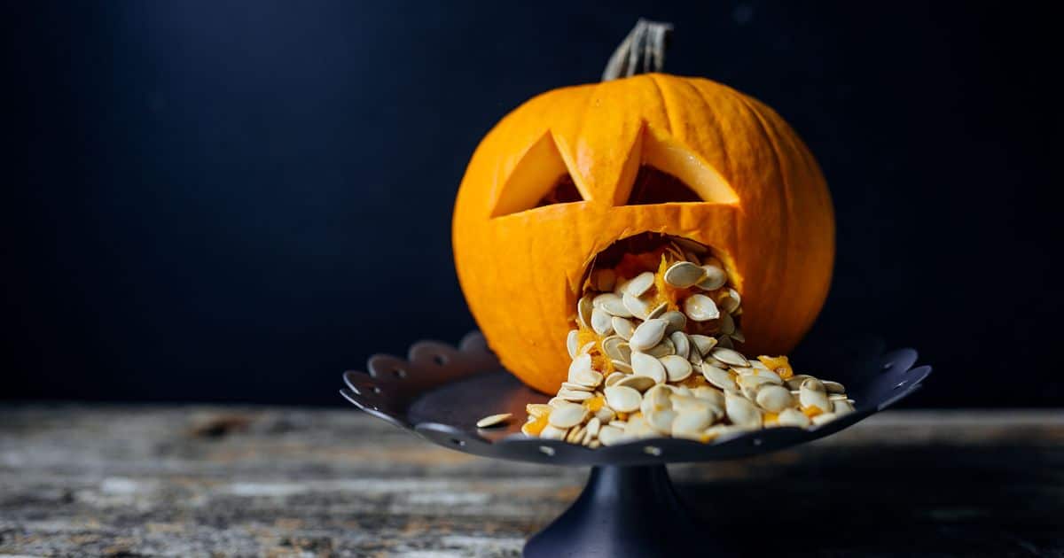 Carved pumpkin with seeds coming out of its mouth 