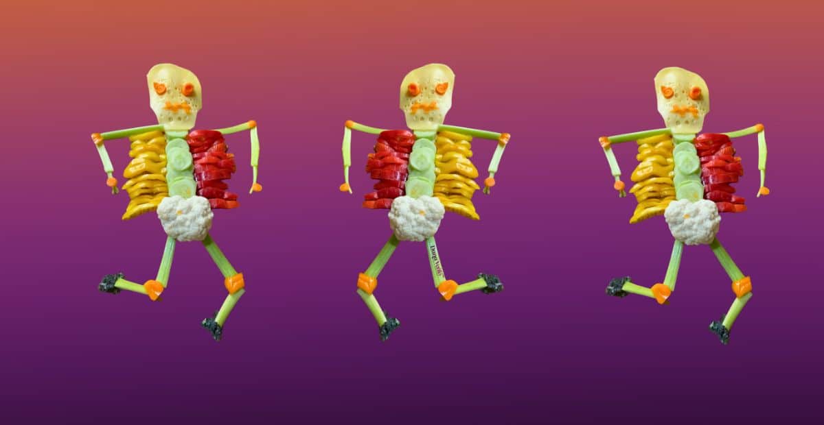 The veggie skeleton assembled 