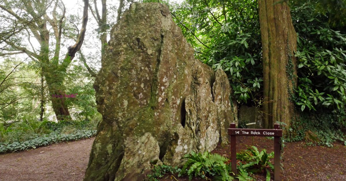 Visit The Rock Close On Your Epic 3 Hour Adventure Throughout the Blarney Castle Grounds