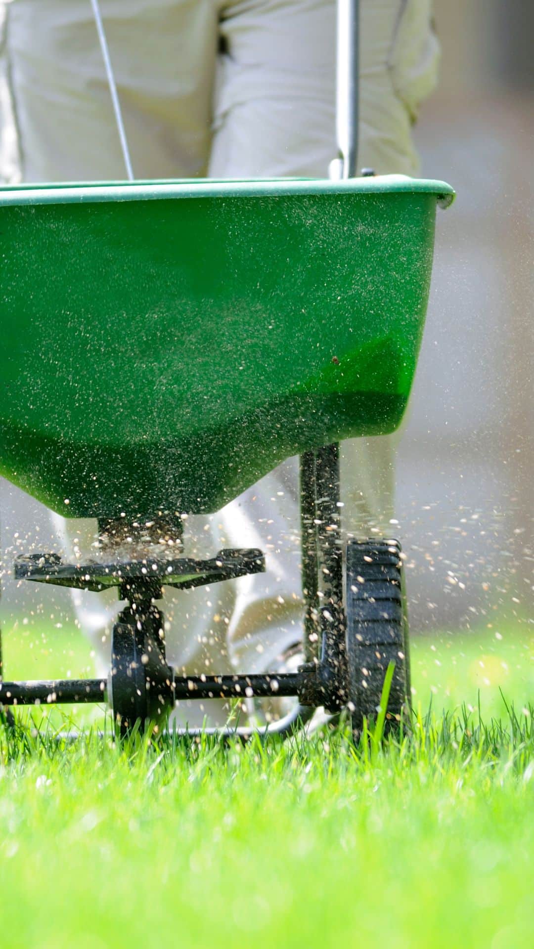 revive your lawn in the spring fertilizing