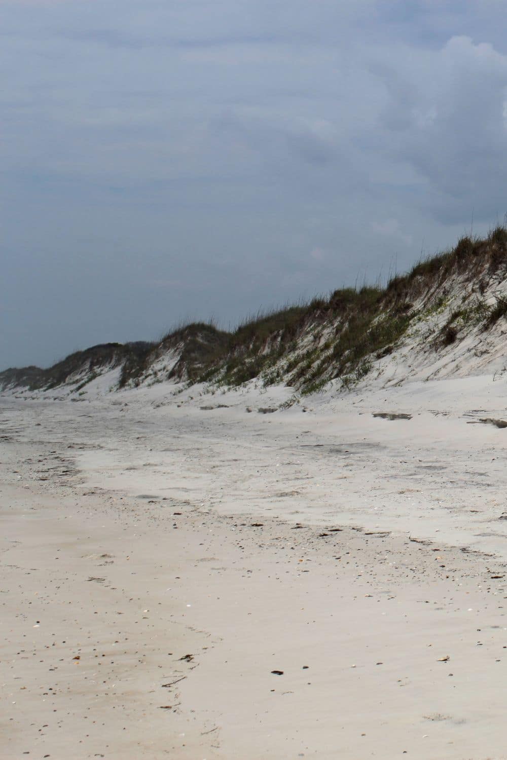 secluded beaches in North Carolina includes Beach on Bear Island North Carolina