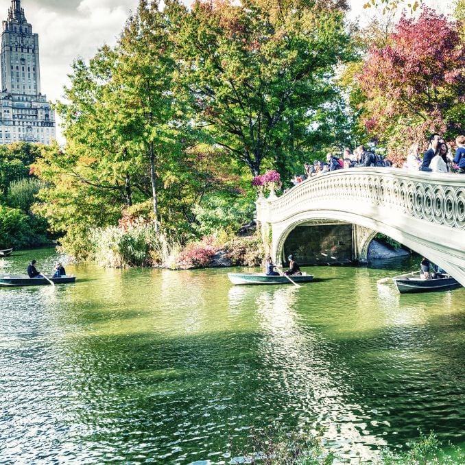 First Trip To NYC Central Park